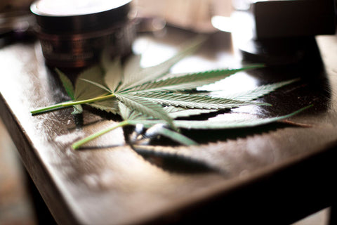 4:20: historia, origen y cultura detrás del día mundial del cannabis - CBD Life