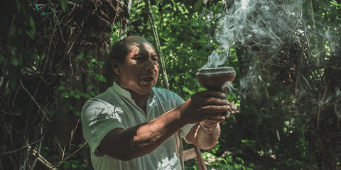 El secreto mejor guardado - CBD Life