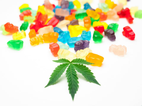 Gomitas de CBD vs tintura de CBD