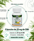 Cápsulas de CBD 25mg | 30 Cápsulas con Aceite MCT de Coco Orgánico - CBD Life