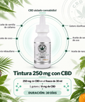 Tintura de CBD 250mg | Aceite de Cannabis con Sabor a Naranja Orgánica - CBD Life